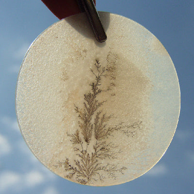 All Natural! Fine Quality Dendritic Agate India
