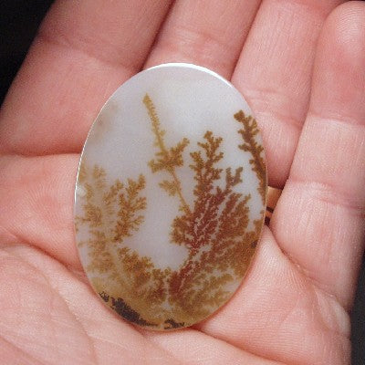 All Natural! Fine Quality Red Fern Dendritic Agate India