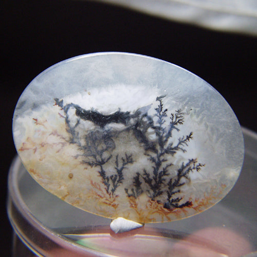 All Natural! Fine Quality Dendritic Agate India