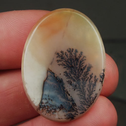 All Natural! Fine Quality Dendritic Agate India