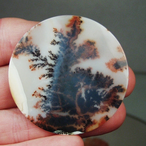 Big & Rare! Fine Quality Scenic Dendritic Agate India