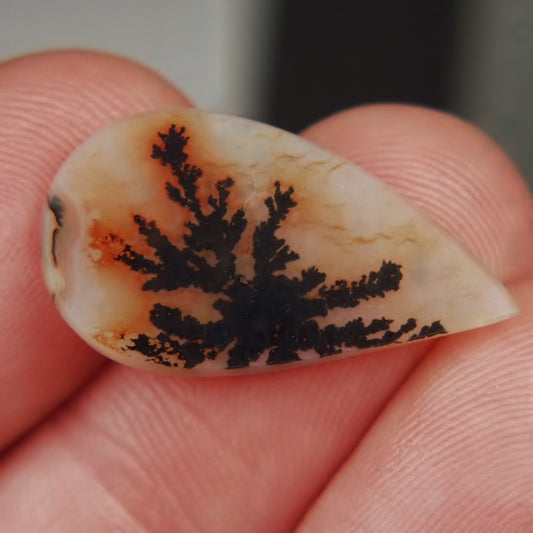 All Natural! Fine Quality Dendritic Agate India