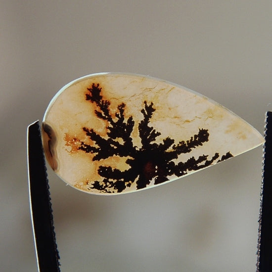 All Natural! Fine Quality Dendritic Agate India