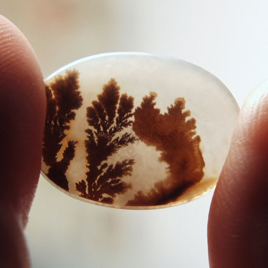 Rare and Fine Quality! Scenic Dendritic Agate India