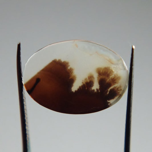 Rare and Fine Quality! Scenic Dendritic Agate India