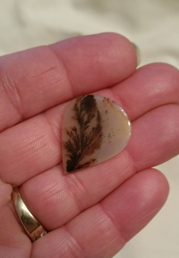All Natural! Fine Quality Dendritic Agate India