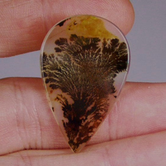 All Natural! Fine Quality Dendritic Agate India