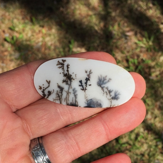 All Natural! Fine Quality Dendritic Agate India