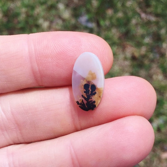 All Natural! Ring Size Dendritic Agate India