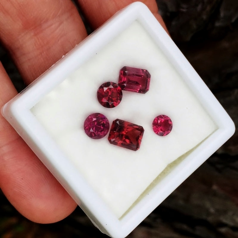 Natural Mixed Species Garnet — 6.36 ct total (5 pieces), Tanzania, Mixed Cuts