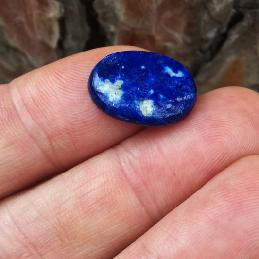 Lapis Lazuli · 7.93 ct · Oval Cabochon