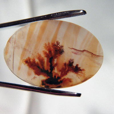 All Natural! Fine Quality Dendritic Agate India