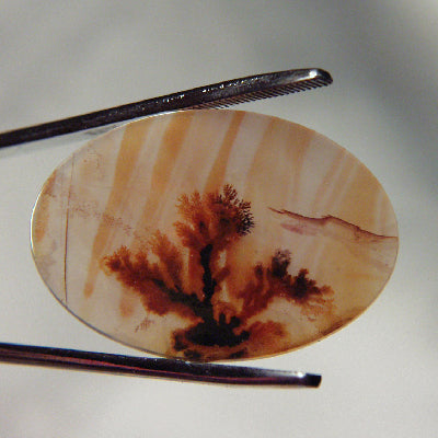 All Natural! Fine Quality Dendritic Agate India