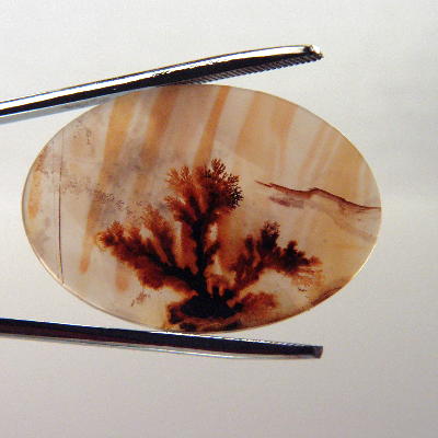All Natural! Fine Quality Dendritic Agate India