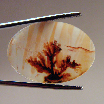 All Natural! Fine Quality Dendritic Agate India