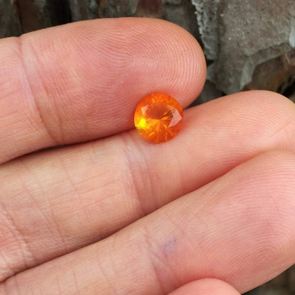 Fine Color & Cut! Faceted Orange Mexican Fire Opal! 1.11 ct