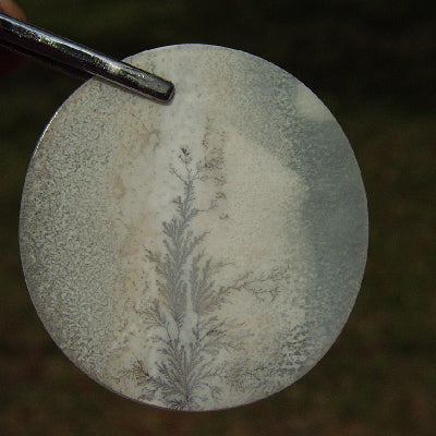 All Natural! Fine Quality Dendritic Agate India