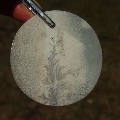 All Natural! Fine Quality Dendritic Agate India