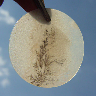 All Natural! Fine Quality Dendritic Agate India