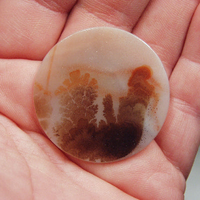 All Natural! Fine Quality Dendritic Agate India