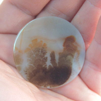 All Natural! Fine Quality Dendritic Agate India