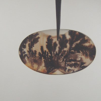 All Natural! Fine Quality Dendritic Agate India