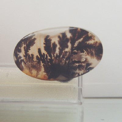 All Natural! Fine Quality Dendritic Agate India