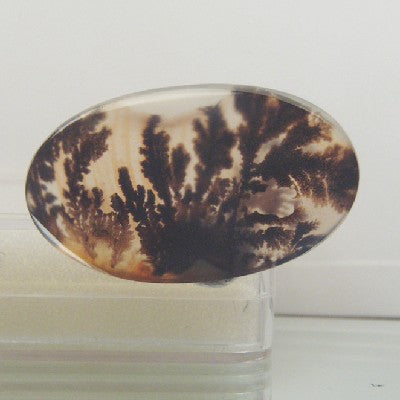 All Natural! Fine Quality Dendritic Agate India