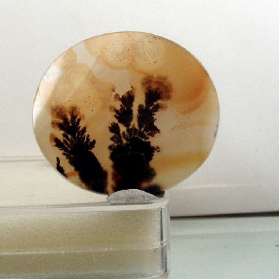 All Natural! Fine Quality Dendritic Agate India