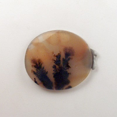 All Natural! Fine Quality Dendritic Agate India