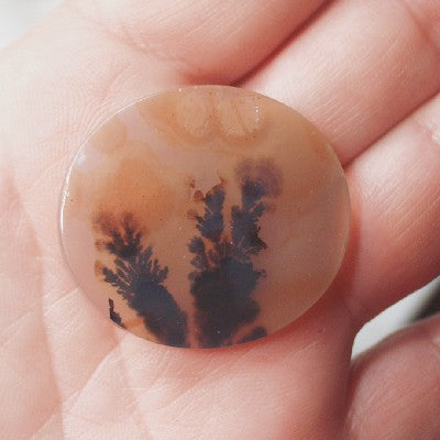 All Natural! Fine Quality Dendritic Agate India