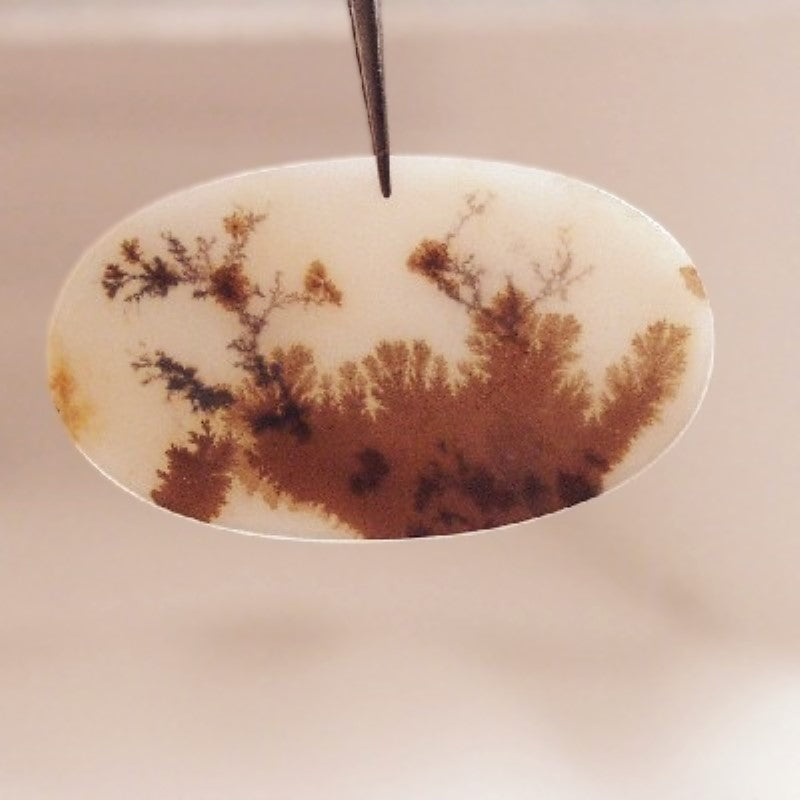 All Natural! Fine Quality Dendritic Agate India