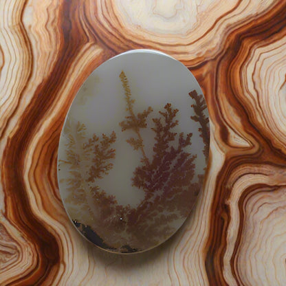 All Natural! Fine Quality Red Fern Dendritic Agate India