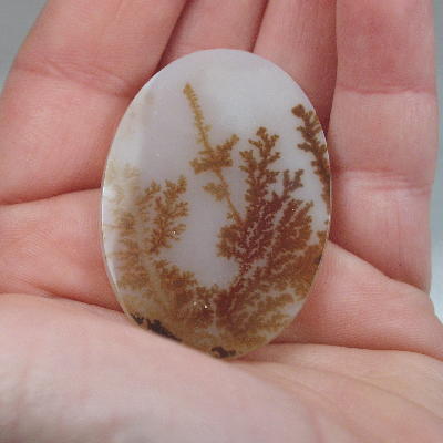 All Natural! Fine Quality Red Fern Dendritic Agate India
