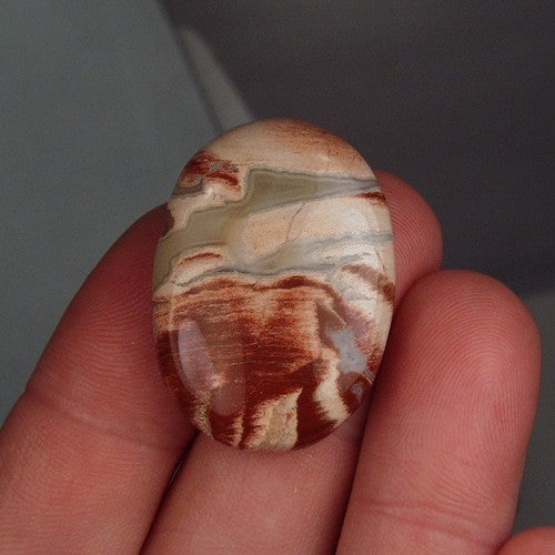 High Quality! Big Picture Jasper Cabochon Arizona