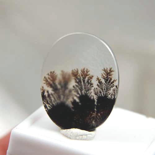 All Natural! Fine Quality Dendritic Agate India