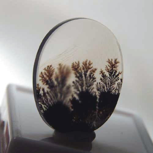 All Natural! Fine Quality Dendritic Agate India