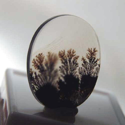 All Natural! Fine Quality Dendritic Agate India