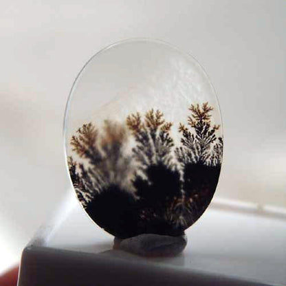 All Natural! Fine Quality Dendritic Agate India