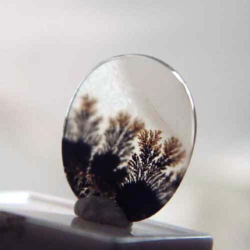 All Natural! Fine Quality Dendritic Agate India