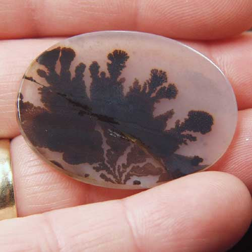 All Natural! Fine Quality Dendritic Agate India