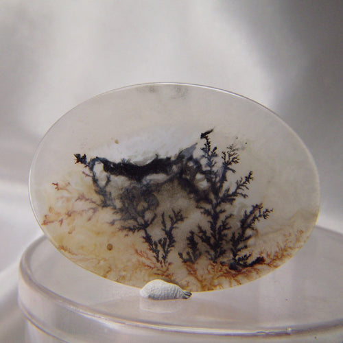 All Natural! Fine Quality Dendritic Agate India