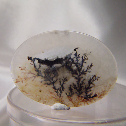 All Natural! Fine Quality Dendritic Agate India