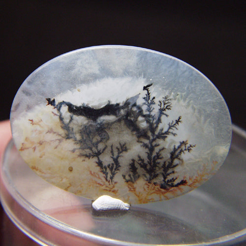 All Natural! Fine Quality Dendritic Agate India