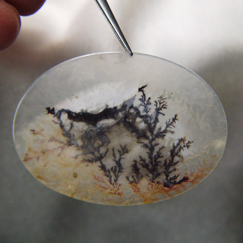All Natural! Fine Quality Dendritic Agate India
