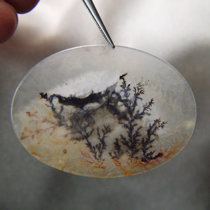 All Natural! Fine Quality Dendritic Agate India