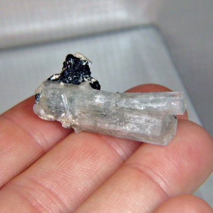 Aquamarine Schorl Tourmaline Specimen Namibia