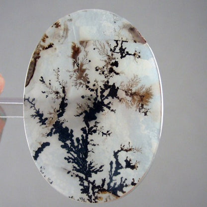 Exceptional All Natural! Fine Quality Dendritic Agate India