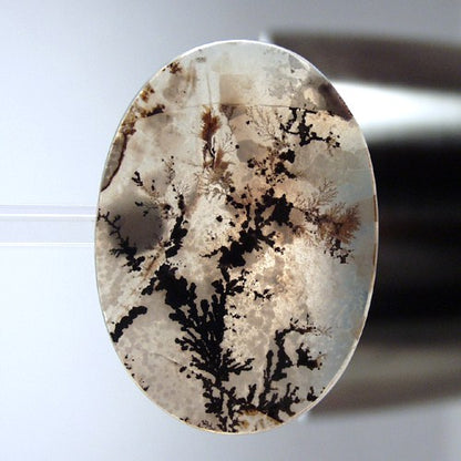 Exceptional All Natural! Fine Quality Dendritic Agate India