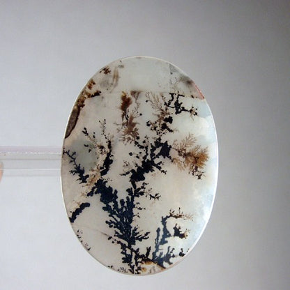 Exceptional All Natural! Fine Quality Dendritic Agate India